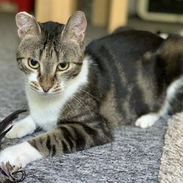 Nora und Zoe — Ekh