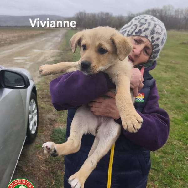 Vivianne — Unknown