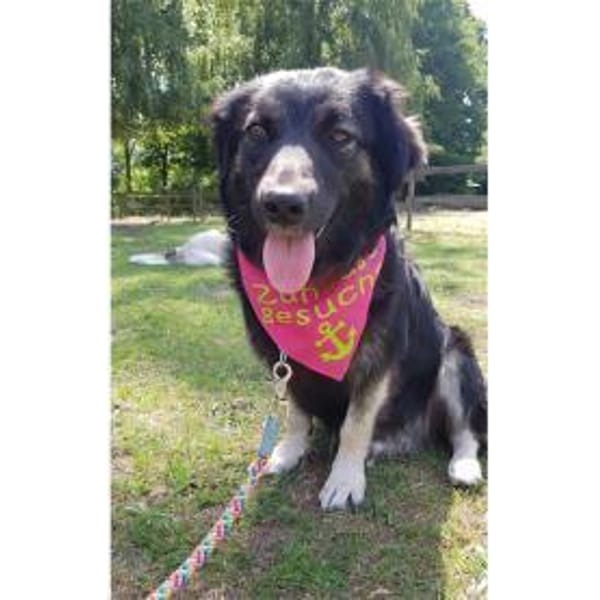 Ella wartet in 22949 Ammersbek — Shündin