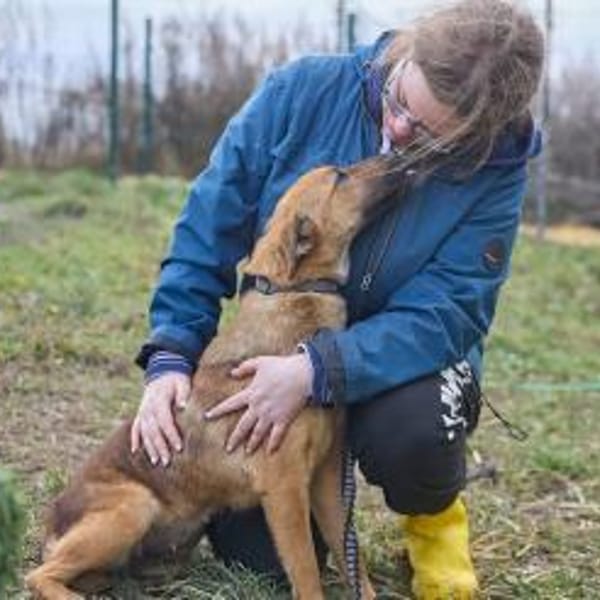 Maxi❤träumt von ihren Herzensmenschen — Mischling