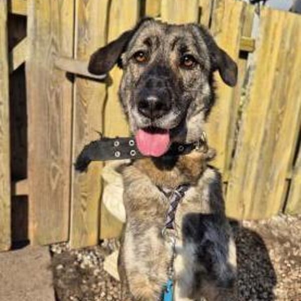 April, wunderschön und liebevoll — Großer Mix