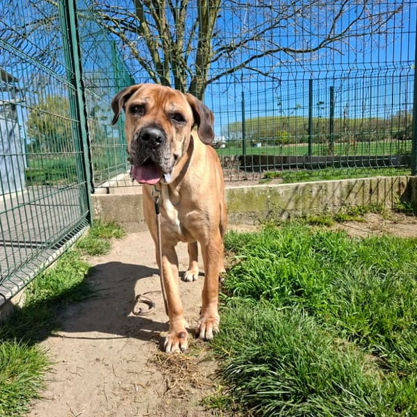 OUMI — Croisé / Autre