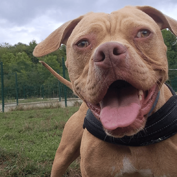 TWIST — Croisé / Autre