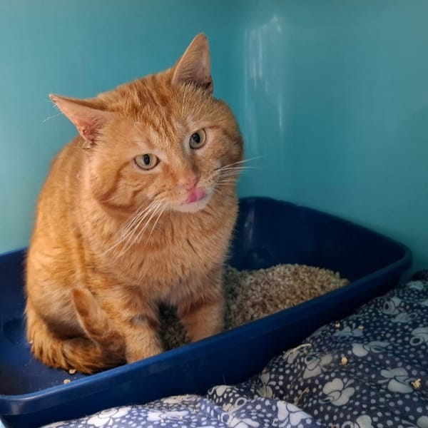 MARLEY — Européen