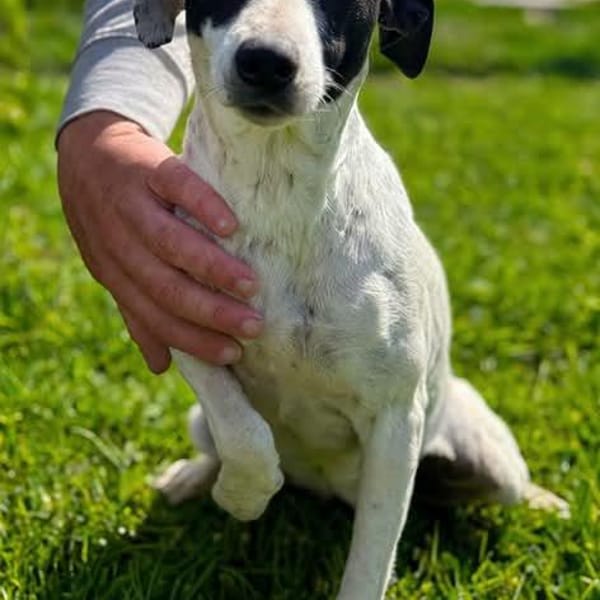 FLOR (Maria) — Unknown