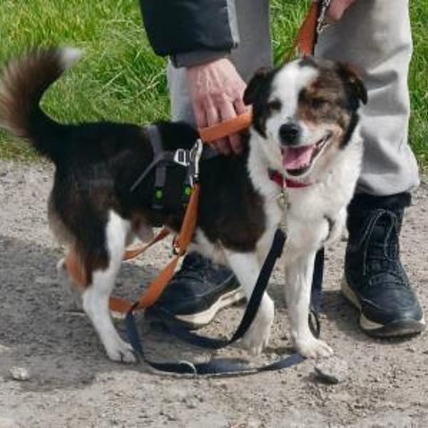 John-Boy - der liebe Wirbelwind — Mix