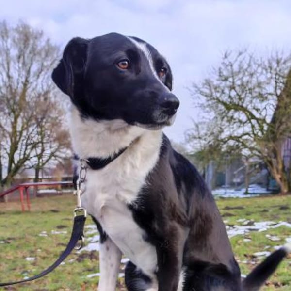 Lars sucht seine Menschen — Mix