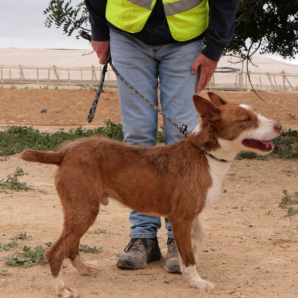 GALAN (Maria) — Unknown