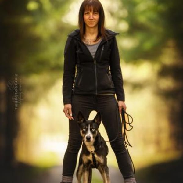 Freya - Seelenbegleiterin — Husky