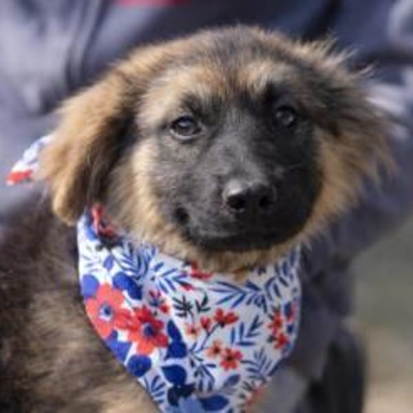 Barbie wartet ab Mitte Mai in Hannover! — Mischling