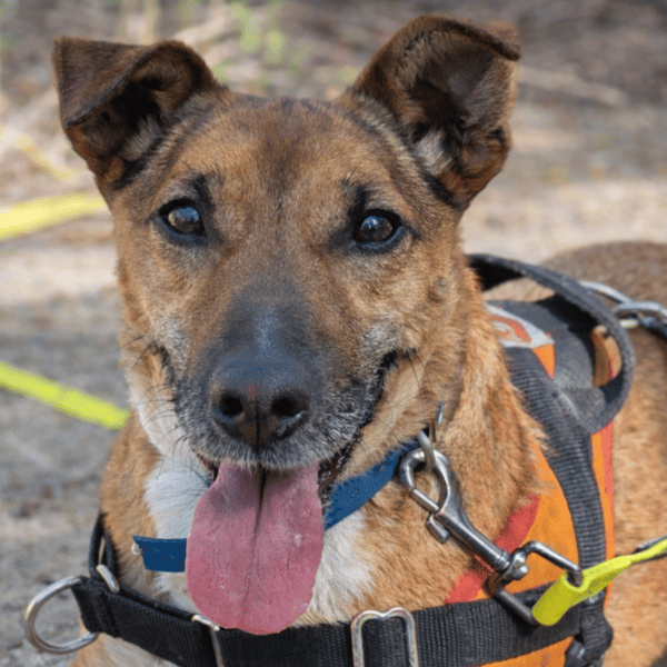 YOUKI — Croisé / Autre