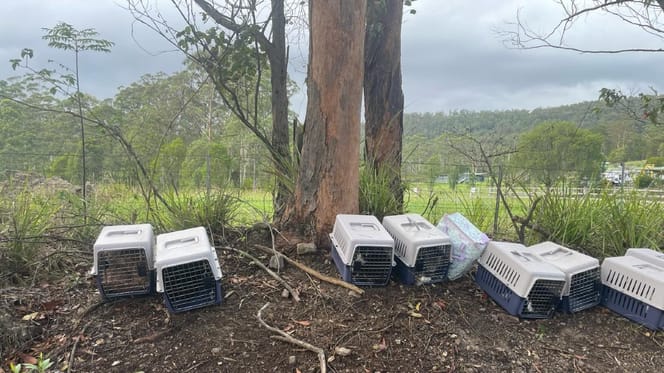 13 reismanden op een rij voor een asiel