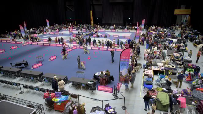 1500 honden komen bijeen in Groningen bij Martiniplaza