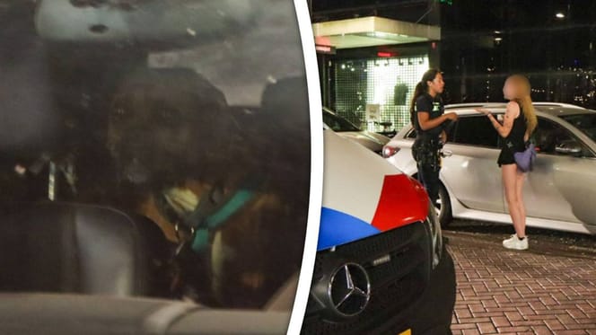 2 honden achtergelaten in bloedhete auto op Kruiskade in Rotterdam