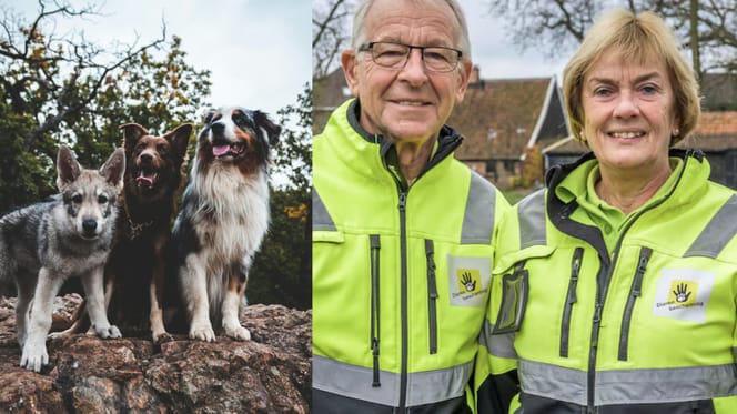 3 honden gevonden door dierenambulance