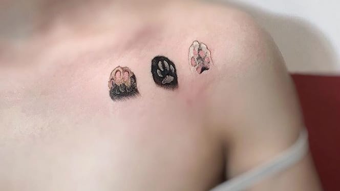 tatuajes de huellas de gato