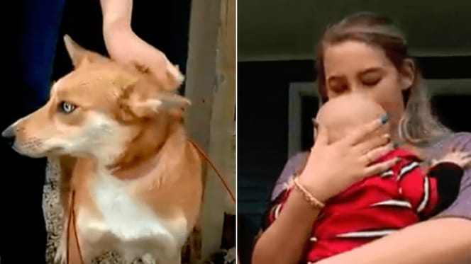 Hund und Mama mit einem Neugeborenen