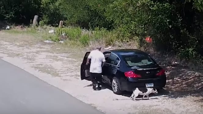 dog being abandondoned on side of road