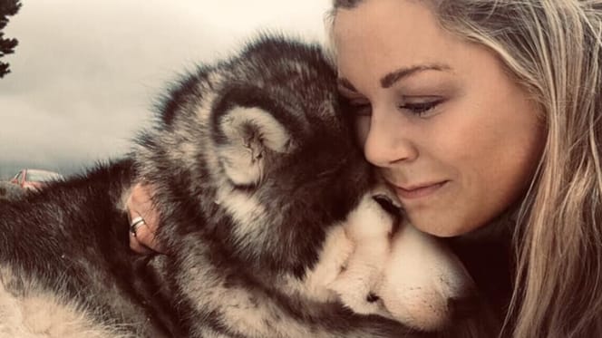 woman hugs her malamute in the snow