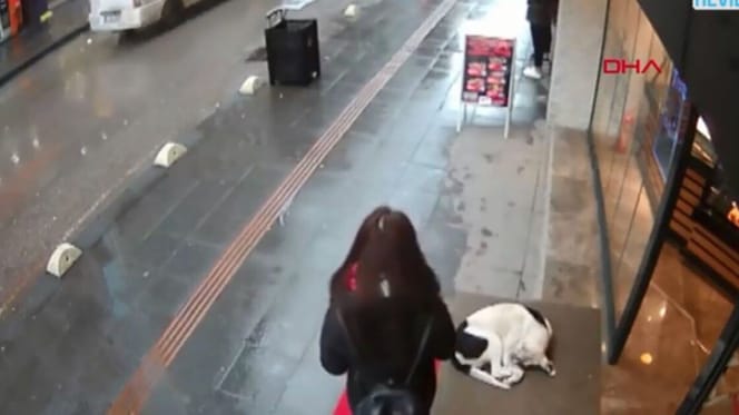 CCTV footage of Turkish woman looking down at stray dog
