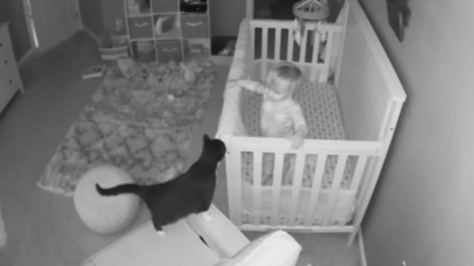 Toddler and cat caught on nanny cam in what looks like a heart-warming chat