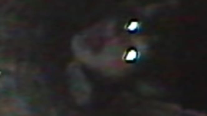 video gato atrapado tuberia