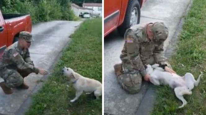 small yellow dog and US soldier next to red car