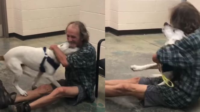 man sitting on the floor hugging mixed breed dog
