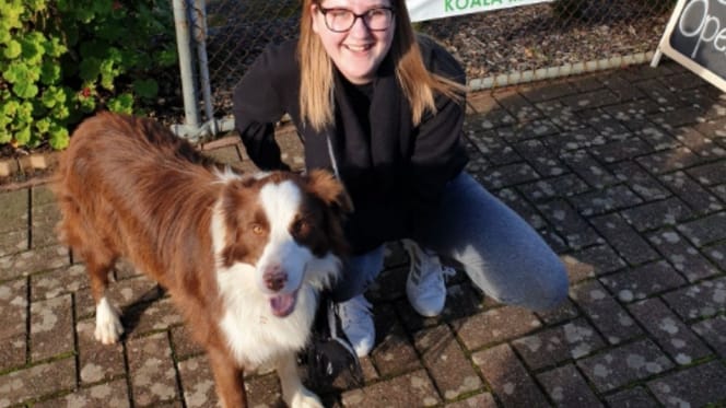 brown border collie standing next to smiling owner