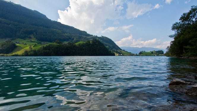 Der Neuenburger See.