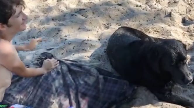 teenage boy sitting on beach with black labrador