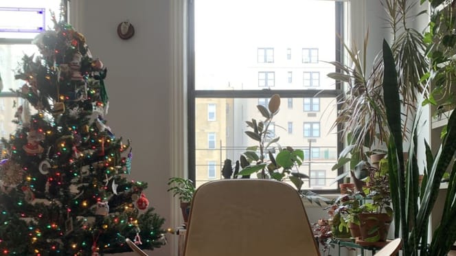 Kot_ukryty_na_obrazku