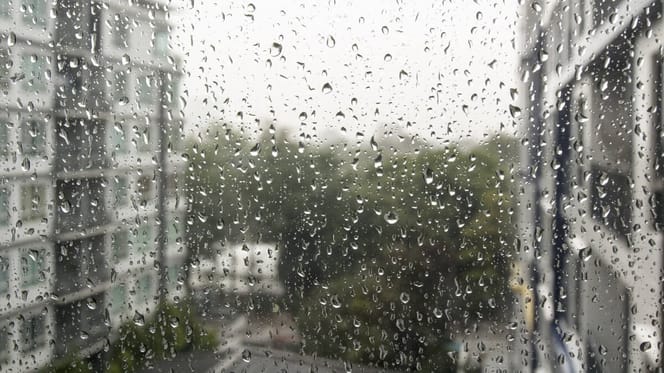 venatana con lluvia