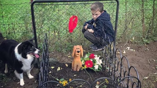 Hund und Junge sitzen neben Grab