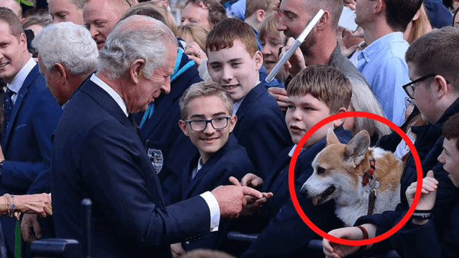 King Charles streichelt Hund