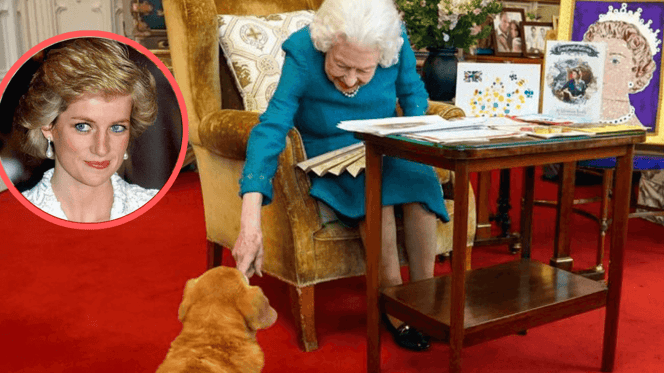 Die Queen streichelt einen ihrer Corgis.