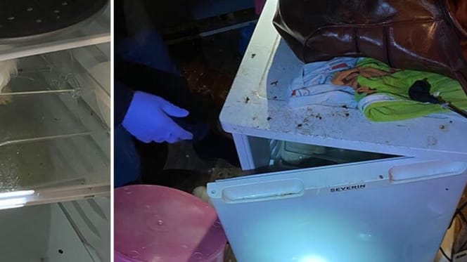 Welpen in Kühlschrank