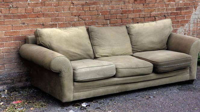 sofá con perro adentro