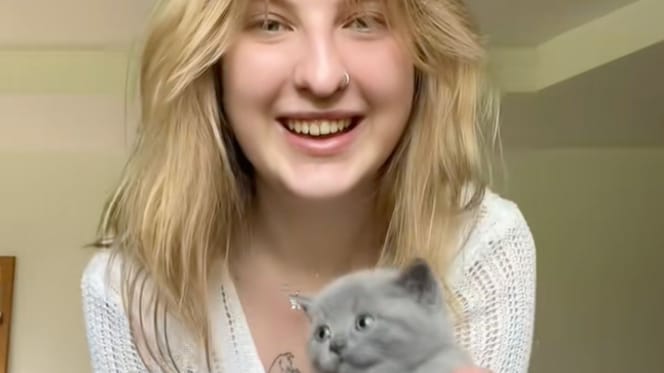 chatons
