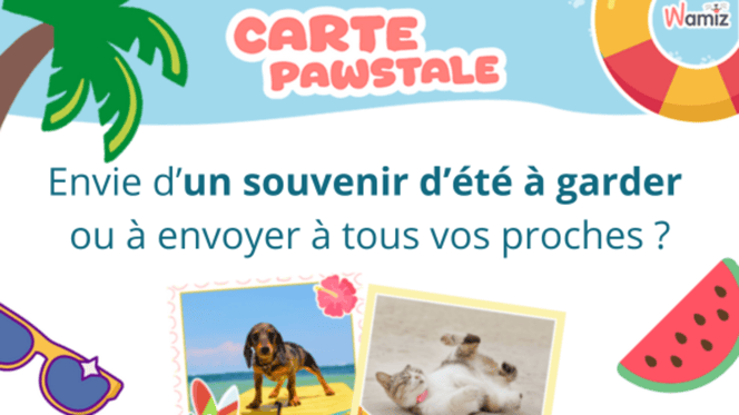 Cet été, envoyez un peu d’amour (et de poils) avec la Carte Pawstale
