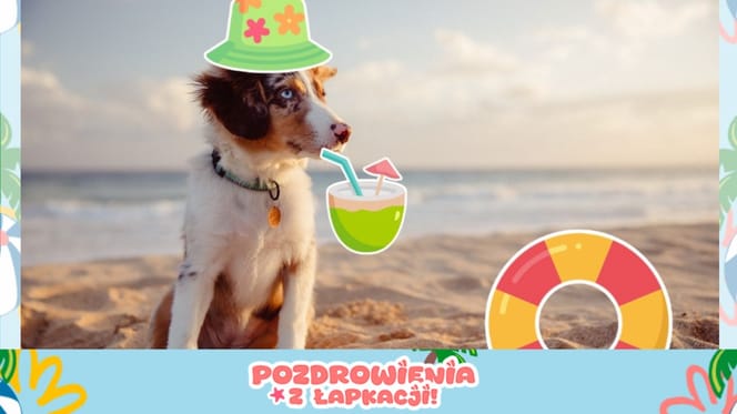 pies na pocztówce