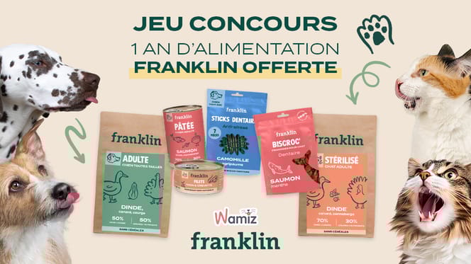 Concours : Remportez 1 an d'alimentation Franklin pour votre animal