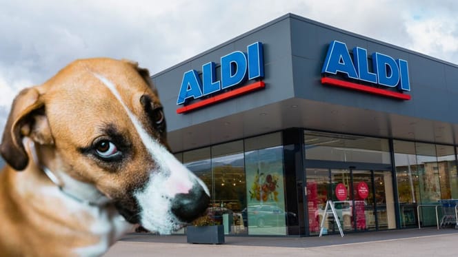 Pueden entrar perros en Aldi