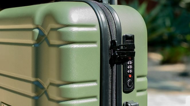 Vrouw betrapt met honderden duizenden euro’s contant dankzij speurhond