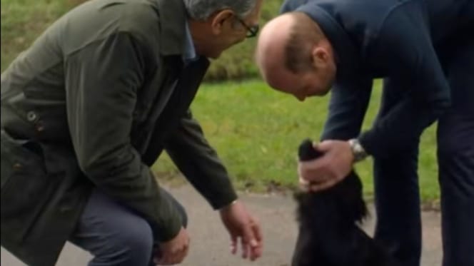 Prince William's dog Orla steals the show during TV interview
