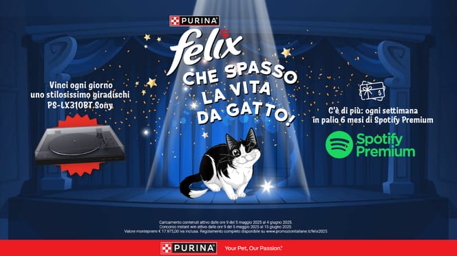 Il tuo gatto è divertente? Partecipa al nuovo concorso Felix “Che spasso la vita da gatto!” e vinci premi favolosi!