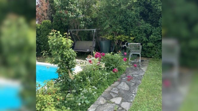 Puedes encontrar al gato escondido en este jardín en menos de 30 segundos