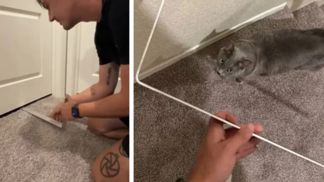 Kätzchen wird aus Bad gerettet