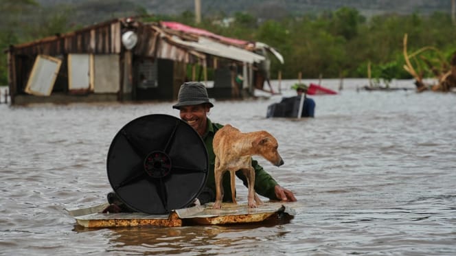 Hurrikan Melissa: Kubaner retten nicht nur sich, sondern auch geliebte Hunde