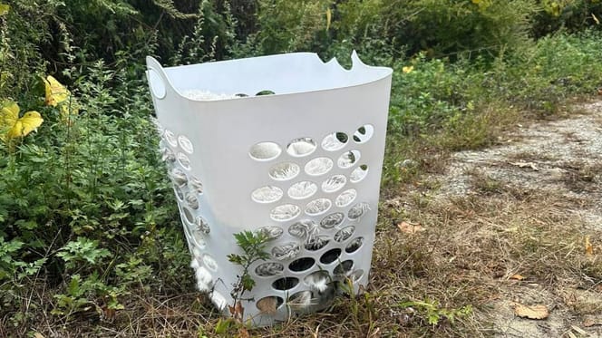 Una mujer descubre una cesta abandonada